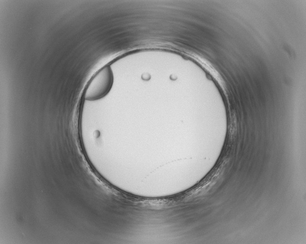 X0000115711053200912101233