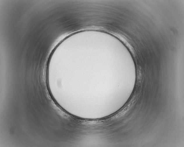 X0000115711054200912101233