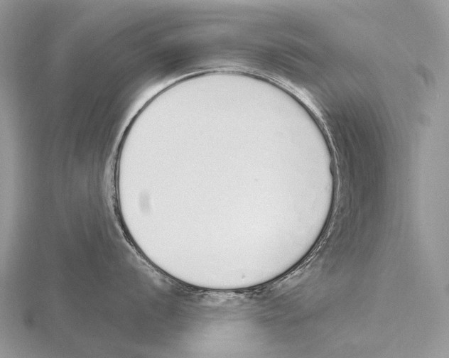 X0000115711056200912101233