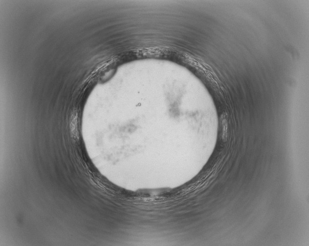 X0000115711060200912101232