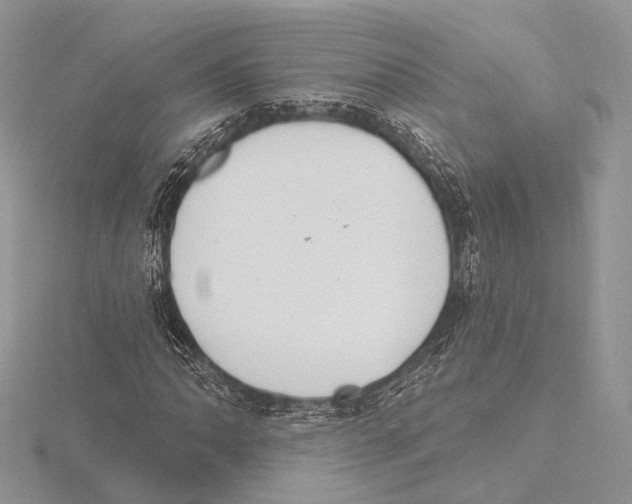 X0000115711062200912101232