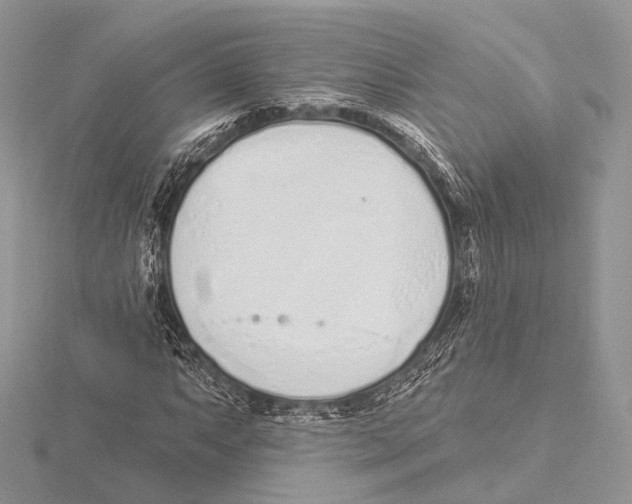 X0000115711063200912101232