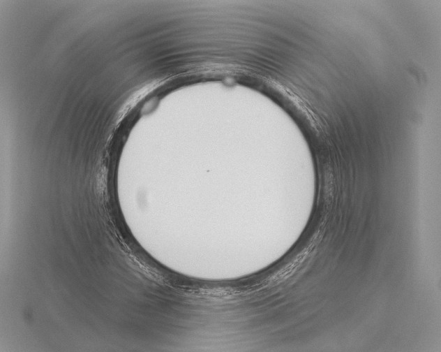 X0000115711066200912101232