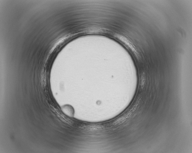 X0000115711067200912101232