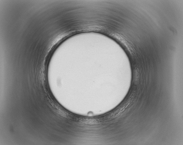 X0000115711071200912101232