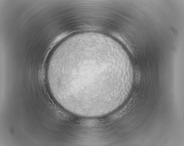 X0000115711074200912101232