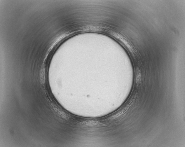 X0000115711075200912101232