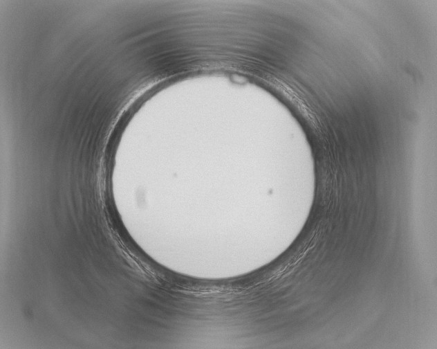 X0000115711076200912101232