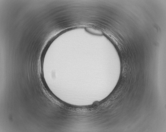 X0000115711080200912101232