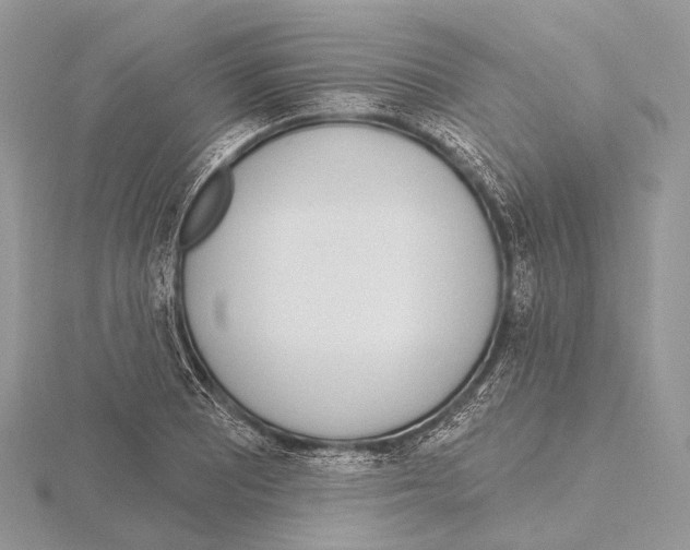 X0000115711081200912101232