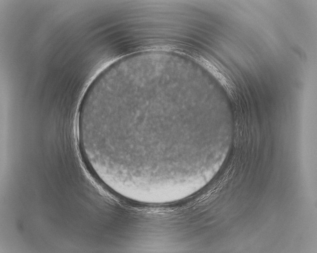 X0000115711084200912101232