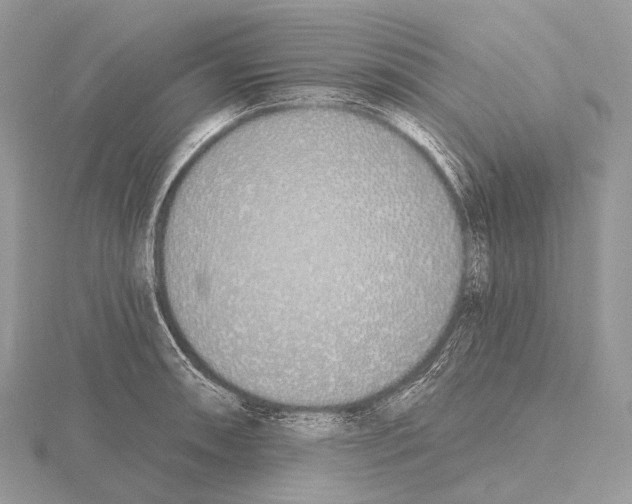 X0000115711090200912101232