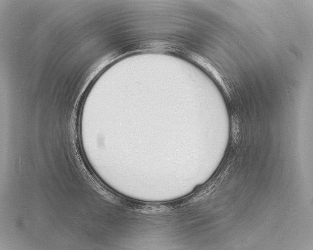 X0000115711091200912101232