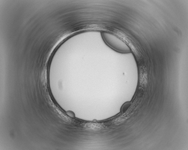 X0000115711092200912101232