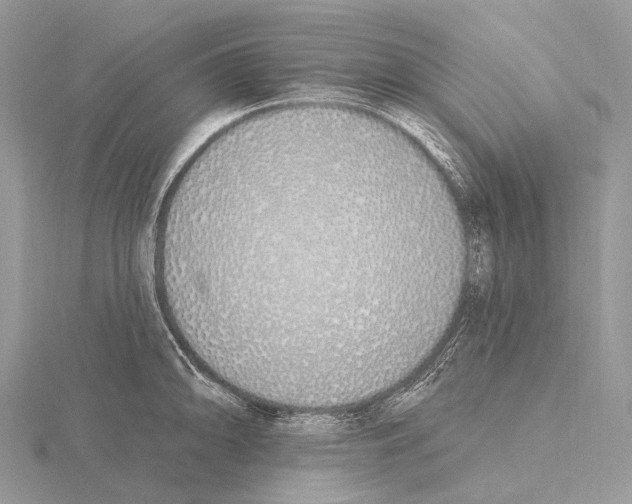 X0000115711094200912101232