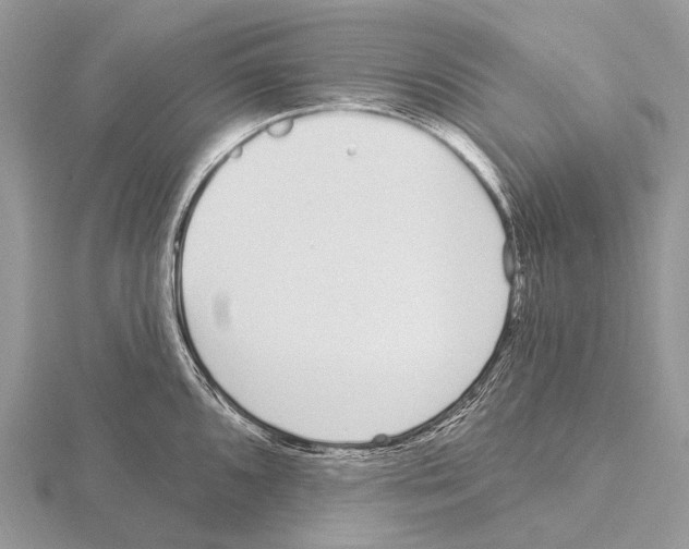 X0000115711096200912101232