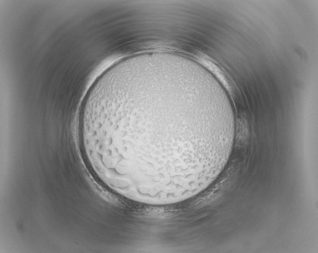 X0000115711098200912101231