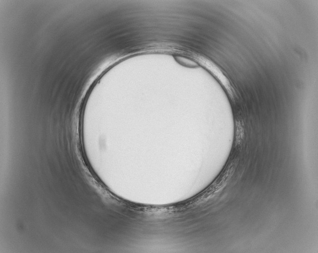 X0000115711099200912101231