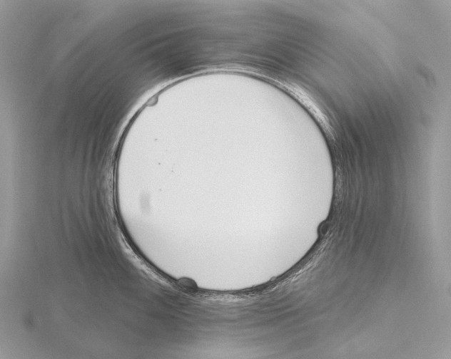 X0000115711100200912101231