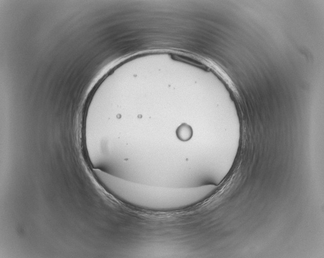 X0000115711101200912101231