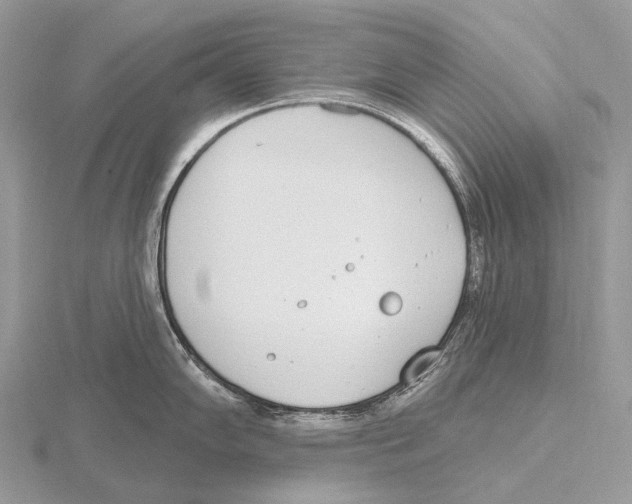 X0000115711102200912101231