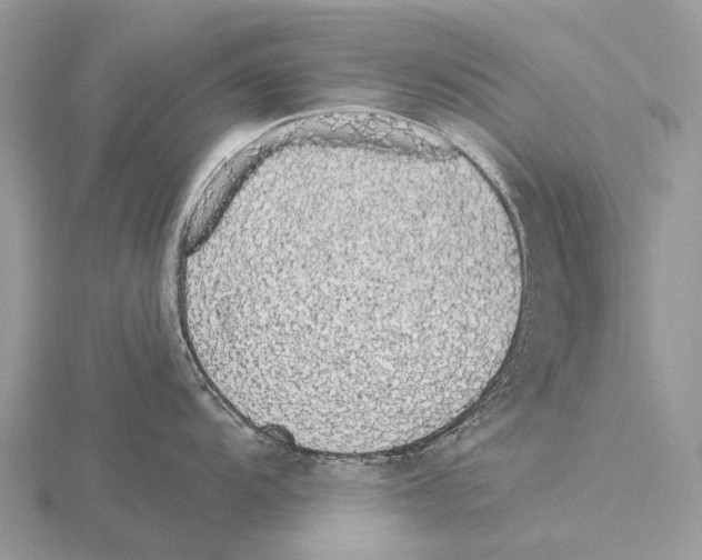 X0000115711104200912101231