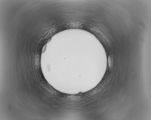 X0000115711107200912101231