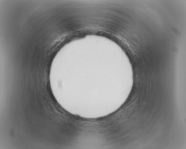 X0000115711110200912101231