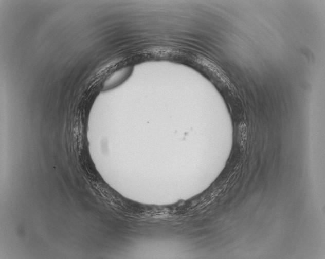 X0000115711111200912101231