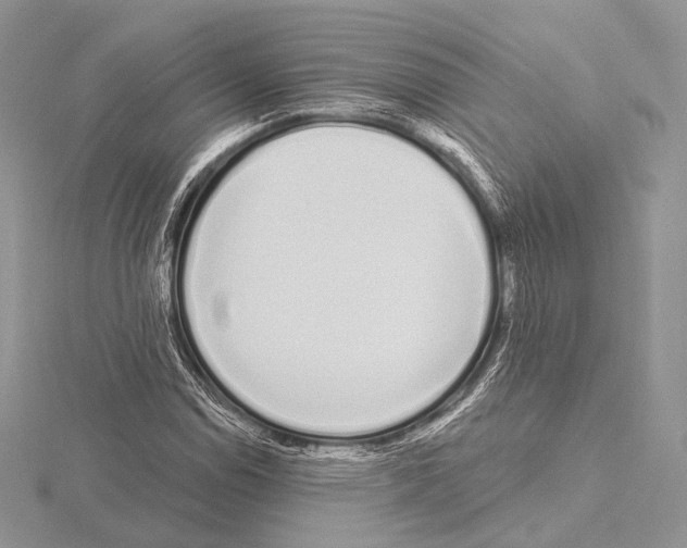 X0000115711114200912101231