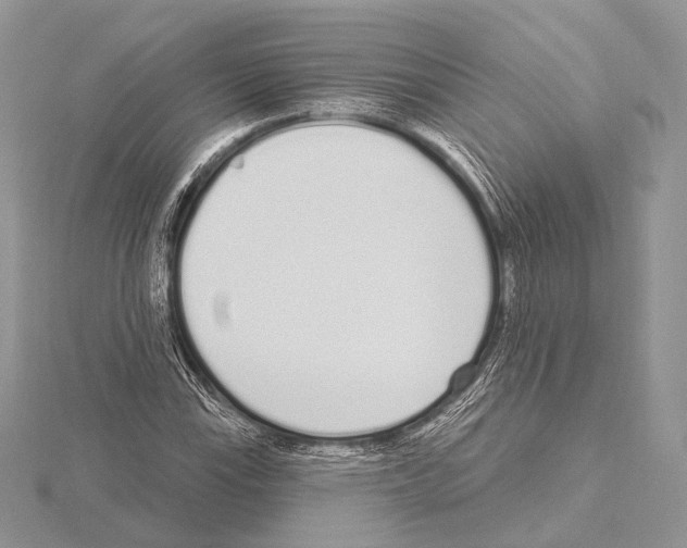 X0000115711115200912101231