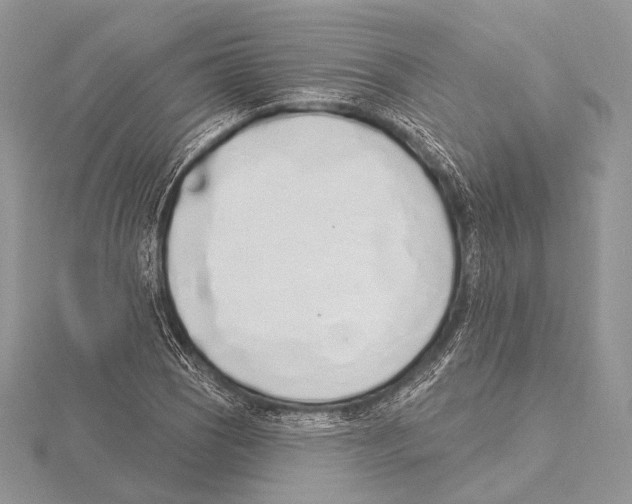 X0000115711121200912101231