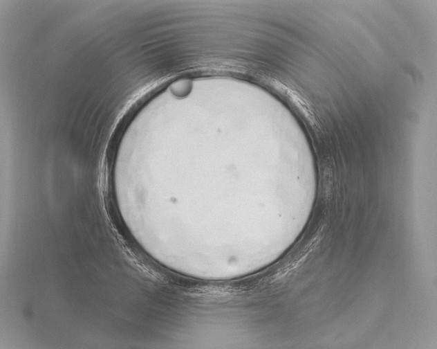 X0000115711125200912101231