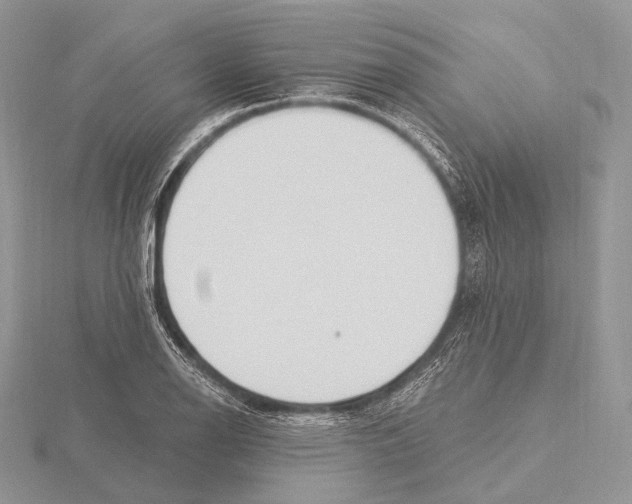 X0000115711126200912101231