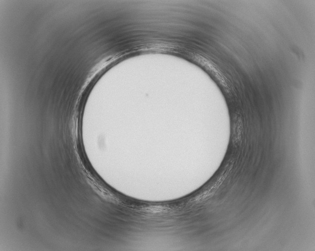 X0000115711130200912101231