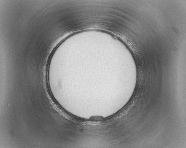 X0000115711134200912101231