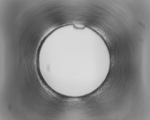 X0000115711135200912101231