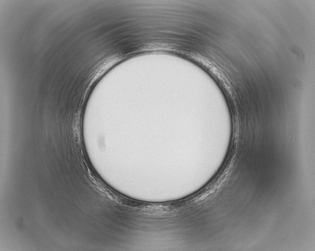 X0000115711137200912101231