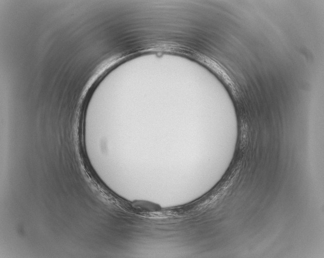 X0000115711138200912101231