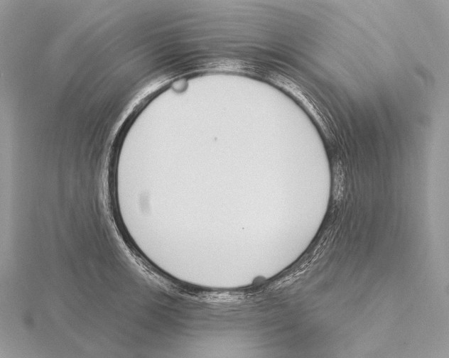 X0000115711139200912101231