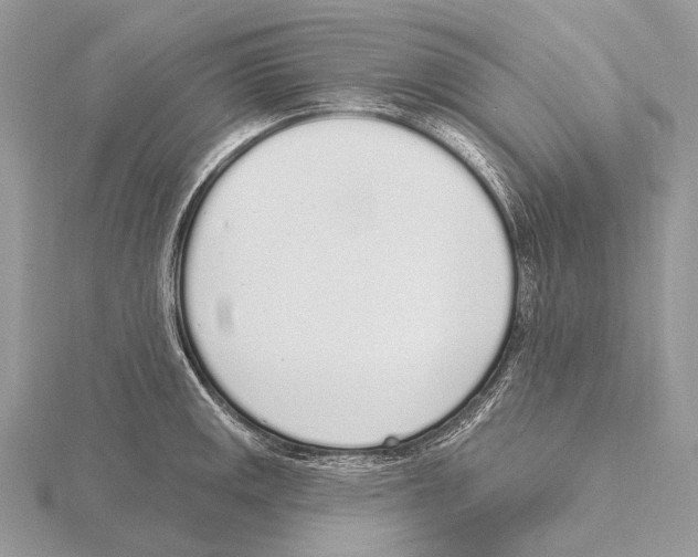 X0000115711141200912101231