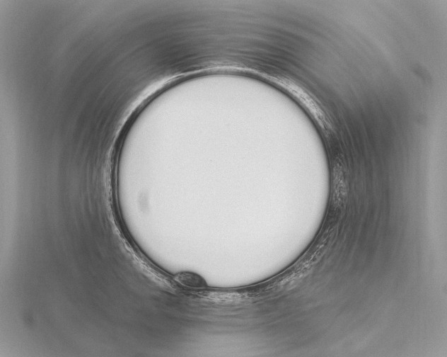 X0000115711142200912101231