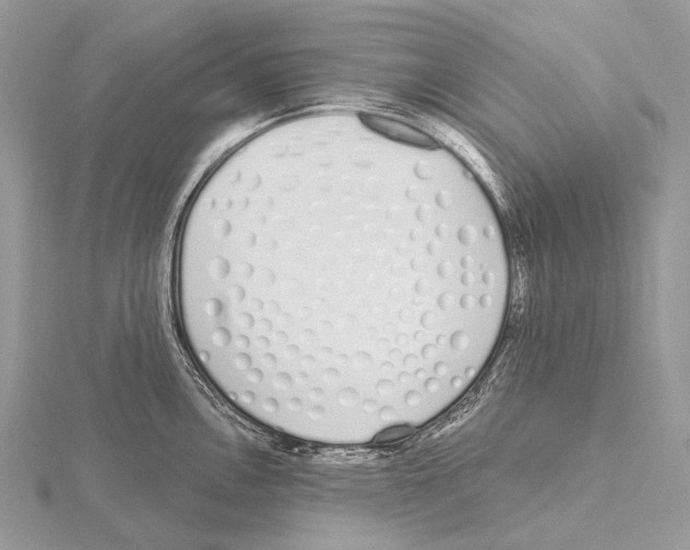 X0000115711146200912101231