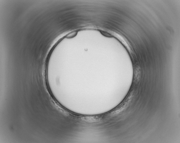 X0000115711149200912101231