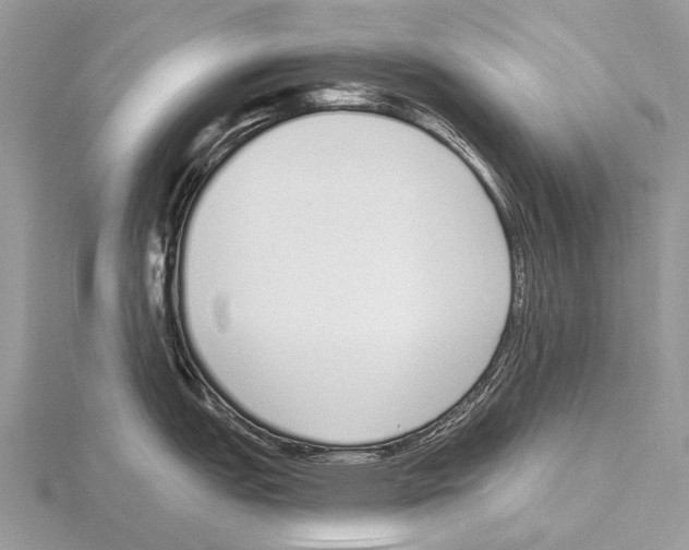 X0000115711151200912101231