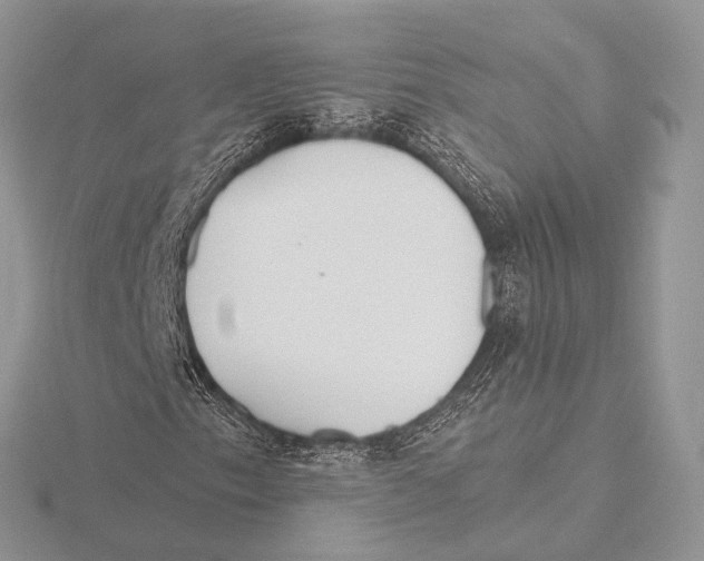 X0000115711153200912101231