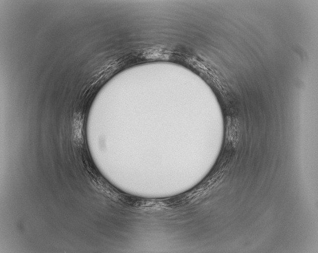 X0000115711154200912101231