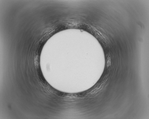 X0000115711156200912101231