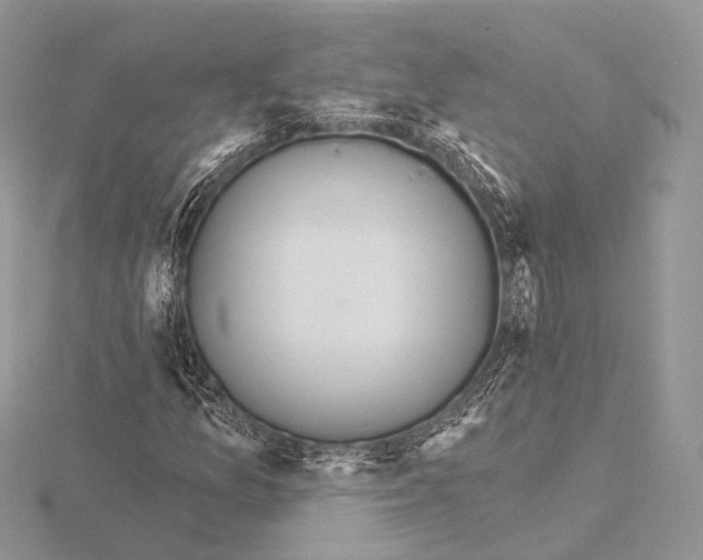 X0000115711157200912101231