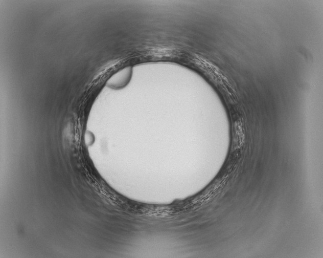 X0000115711158200912101231